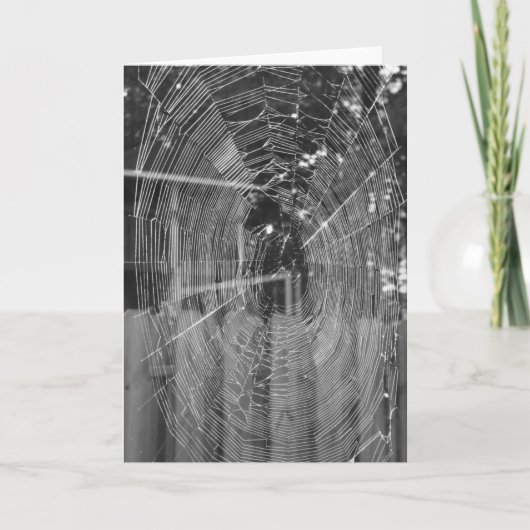 Halloween-spin Web Kaart (Voorkant)