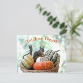 Halloween Squirrel Briefkaart (Staand voorkant)