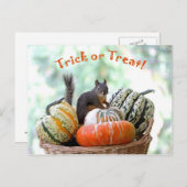 Halloween Squirrel Briefkaart (Voorkant / Achterkant)