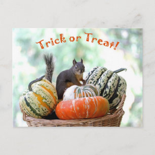 Halloween Squirrel Briefkaart