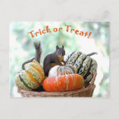 Halloween Squirrel Briefkaart (Voorkant)