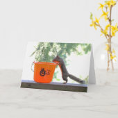 Halloween Squirrel Kaart (Gele Bloem)