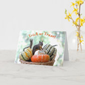 Halloween Squirrel Kaart (Gele Bloem)