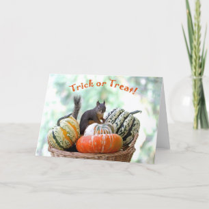 Halloween Squirrel Kaart