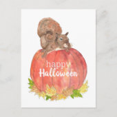 Halloween Squirrel op pompoenBriefkaart Briefkaart (Voorkant)