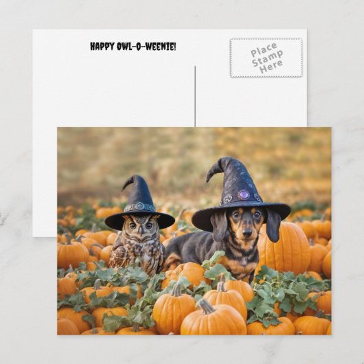 Halloween teckel en uil grappig feestdagenkaart (Voorkant / Achterkant)