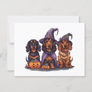 Halloween teckel heksenhonden briefkaart