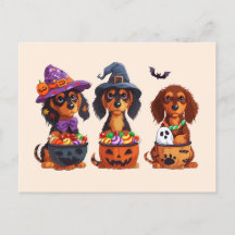 Halloween Teckel Honden Pompoen Snoep Bucket