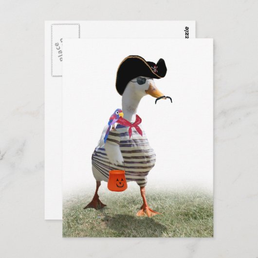 Halloween Trick of Treating Pirate Duck Briefkaart (Voorkant / Achterkant)