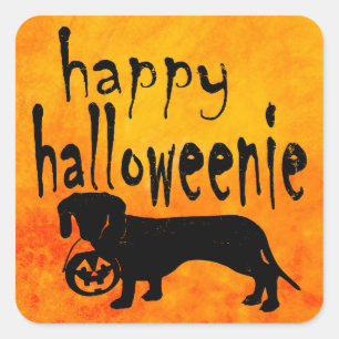 Halloween Trick or treat Dachshund Vierkante Sticker