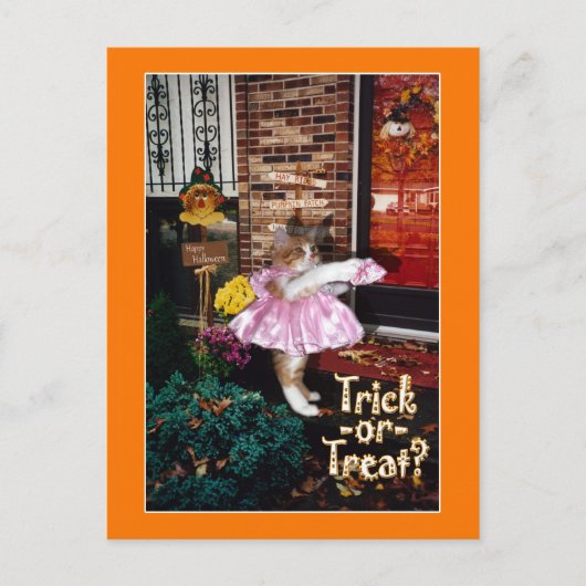 Halloween Trick-or-Treat Kat Briefkaart (Voorkant)