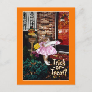 Halloween Trick-or-Treat Kitty Ansichtkaart Briefkaart