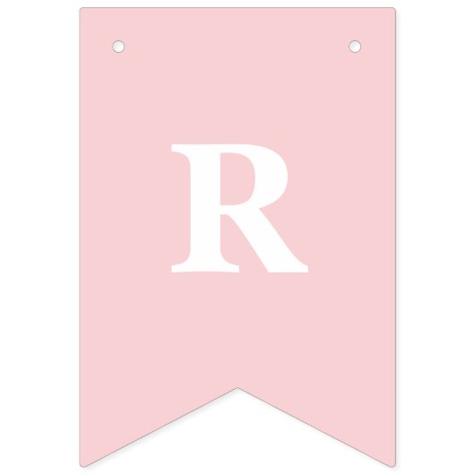 Halloween TRICK OR TREAT roze pompoenen en spinnen Vlaggetjes (Derde vlag)