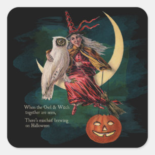  Halloween Uil en Heks Stickers