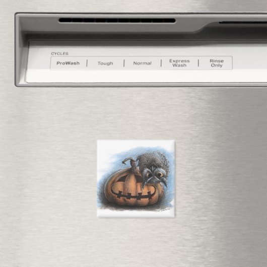Halloween Vampire Owl Magneet (Insitu (Vaatwasser))
