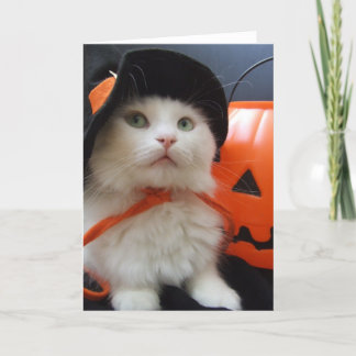 Halloween van een Kat Kaart