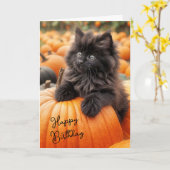 Halloween Verjaardag Kitten op Pompoen Kaart (Gele Bloem)