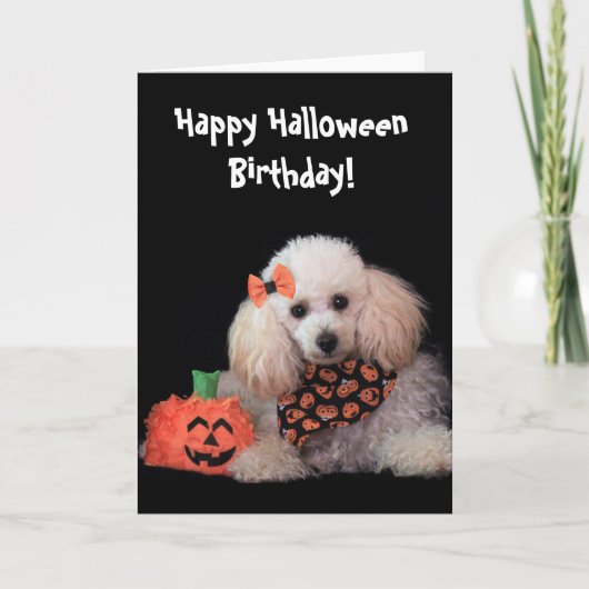Halloween Verjaardag poedel hond kaart (Voorkant)