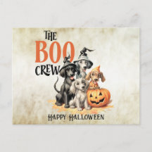 Halloween Verschrikkelijke Boo Honden Bemanning Or