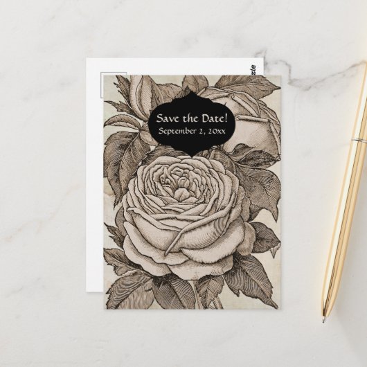  Halloween Victoriaans Gotisch Roos in Sepia Briefkaart (Voorkant / Achterkant in situ)