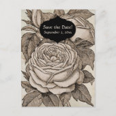  Halloween Victoriaans Gotisch Roos in Sepia Briefkaart (Voorkant)