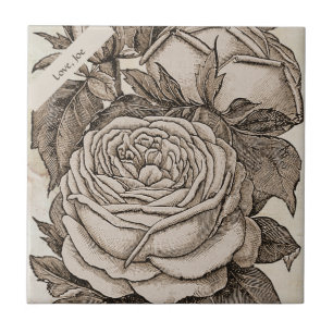 Halloween Victoriaans Gotisch Roos in Sepia Tegeltje
