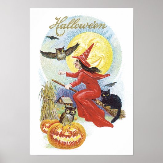 Halloween, vliegende heks met een zwarte kat Poster (Voorkant)