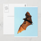 Halloween vliegende roodvos (vruchtvleermuis) briefkaart (Voorkant / Achterkant)