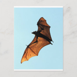 Halloween vliegende roodvos (vruchtvleermuis) briefkaart