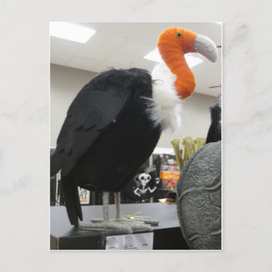 Halloween Vulture Briefkaart
