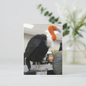 Halloween Vulture Briefkaart (Staand voorkant)