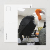 Halloween Vulture Briefkaart (Voorkant / Achterkant)