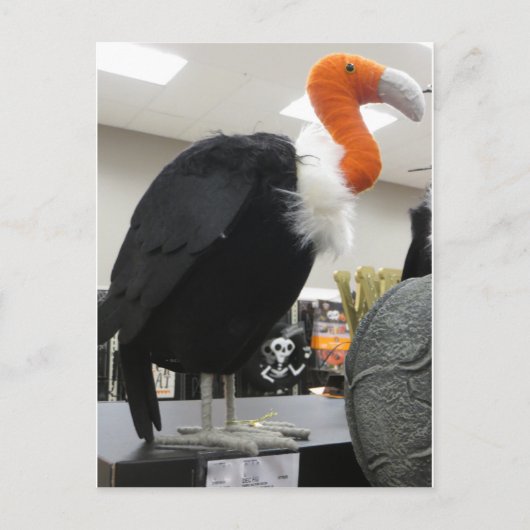 Halloween Vulture Briefkaart (Voorkant)
