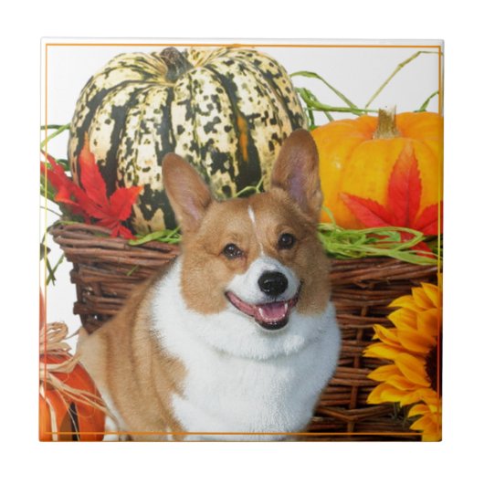 Halloween Welsh Corgi dog Tegeltje (Voorkant)