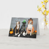 Halloween wenskaart. Foto, 3 honden in drag. Kaart (Gele Bloem)