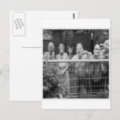  Halloween Wenskaarten Klassieke Posters Briefkaart (Voorkant / Achterkant)