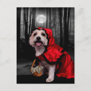 Halloween - Westie - Lady Briefkaart