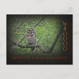 Halloween Wishies - Barred Owl Briefkaart