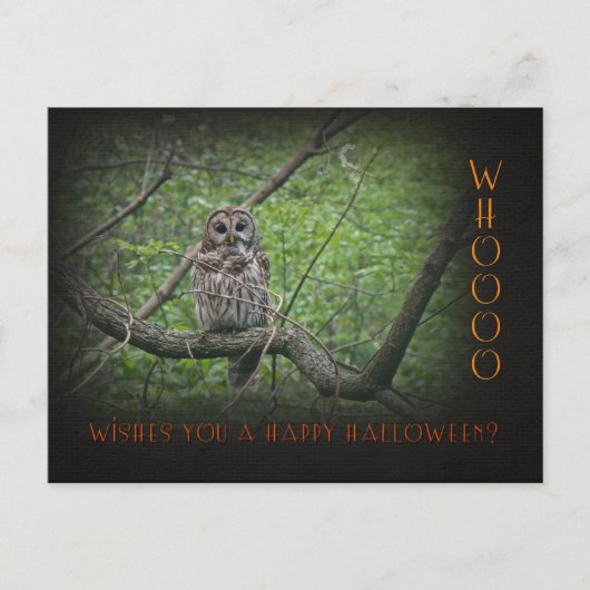 Halloween Wishies - Barred Owl Briefkaart (Voorkant)