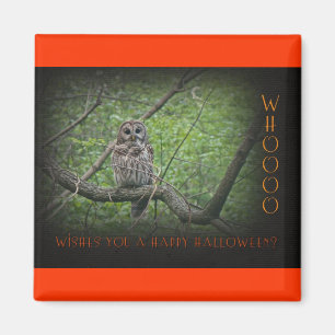 Halloween Wishies - Barred Owl Magneet