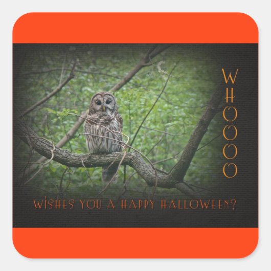 Halloween Wishies - Barred Owl Vierkante Sticker (Voorkant)