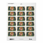 Halloween Witch Afbeelding op Label (Full Sheet)