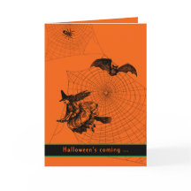 Halloween Witch Bat Spider Scary Oranje Gepluikt p