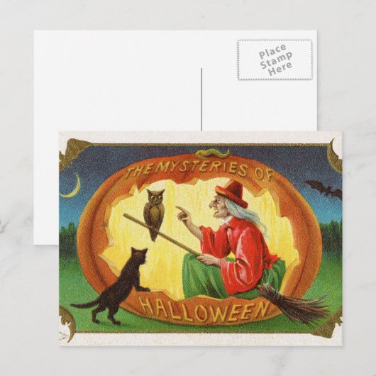  Halloween Witch Cat Uil briefkaart (Voorkant / Achterkant)