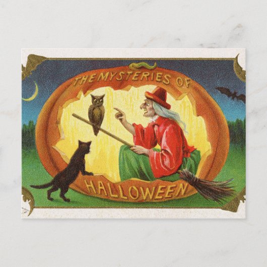  Halloween Witch Cat Uil briefkaart (Voorkant)