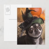Halloween Witch Dog Briefkaart (Voorkant / Achterkant)
