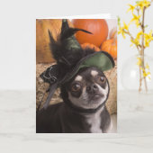 Halloween Witch Dog Kaart (Gele Bloem)