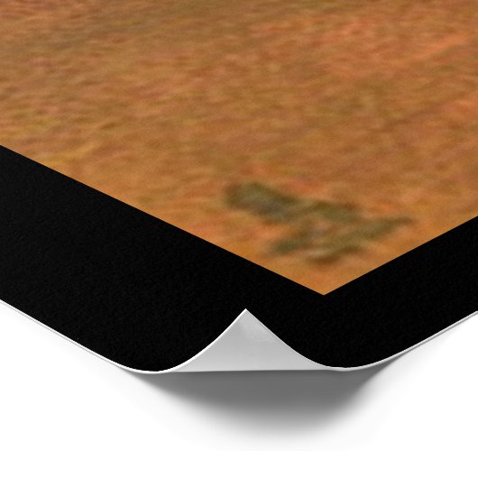 Halloween Witch en Black Cat Poster (Hoek)