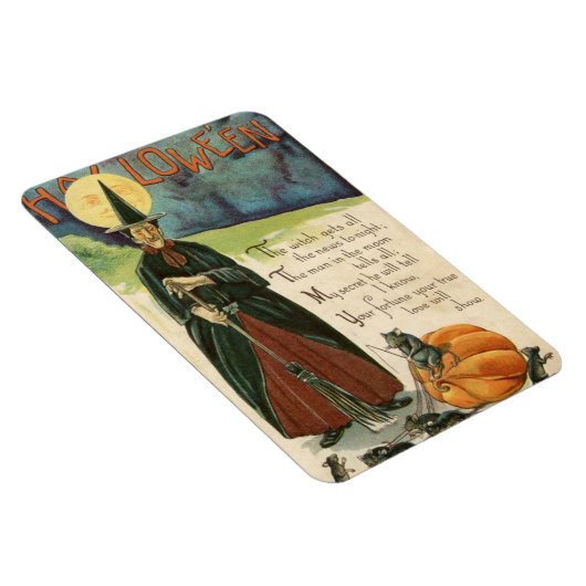 Halloween Witch  Magneet (Rechterzijde)