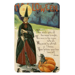 Halloween Witch  Magneet